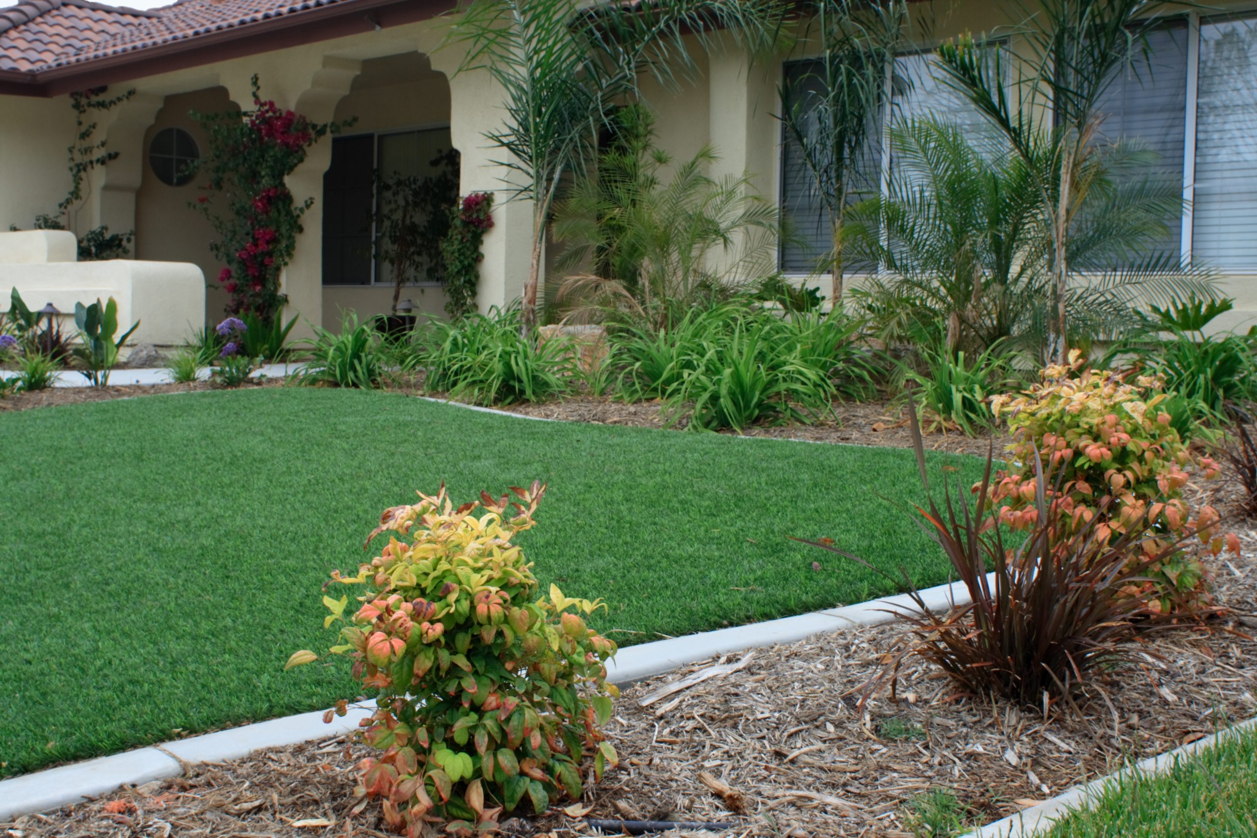 Synthetic SynLawn Turf Front Yard with landscaping landscape plants